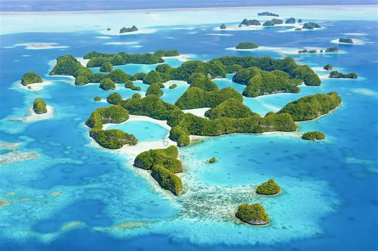 空闲农场